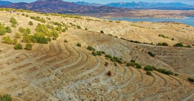 A view of land where trees have been planted to prevent erosion, in Diyarbakır, southeastern Turkey, Nov. 2, 2021. (AA PHOTO)