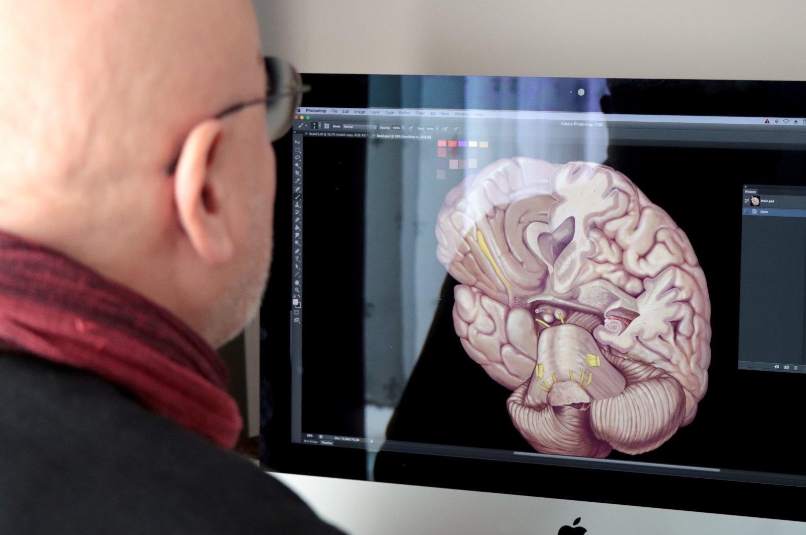 Professor Ahmet Sınav works on a brain illustration on his computer, Sapanca, Kocaeli, northwestern Turkey, Dec. 4, 2021. (AA Photo)