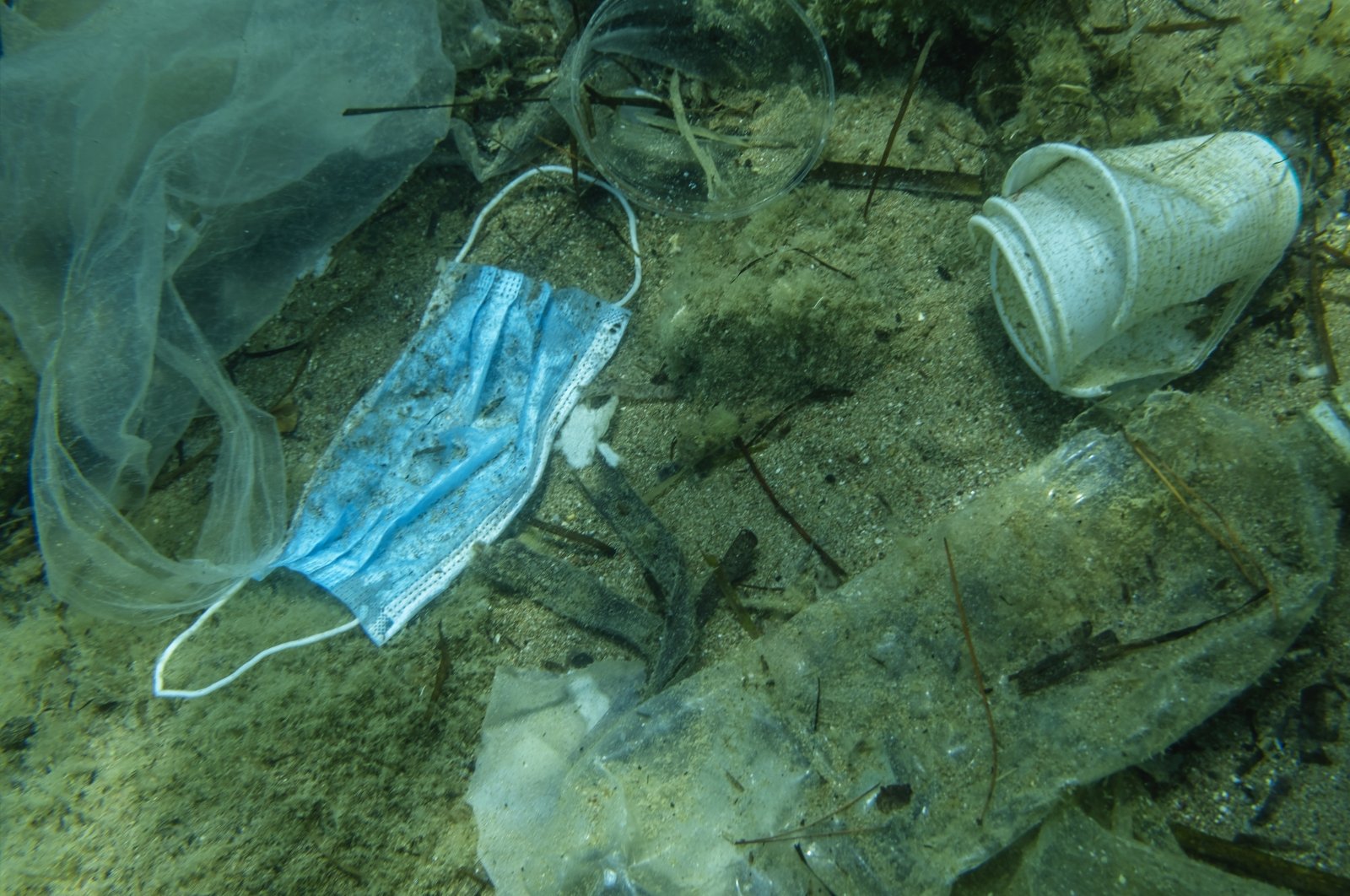 A view of plastic pollution in the Adriatic Sea, off the coast of Budva, Montenegro, July 31, 2020. (GETTY IMAGES)
