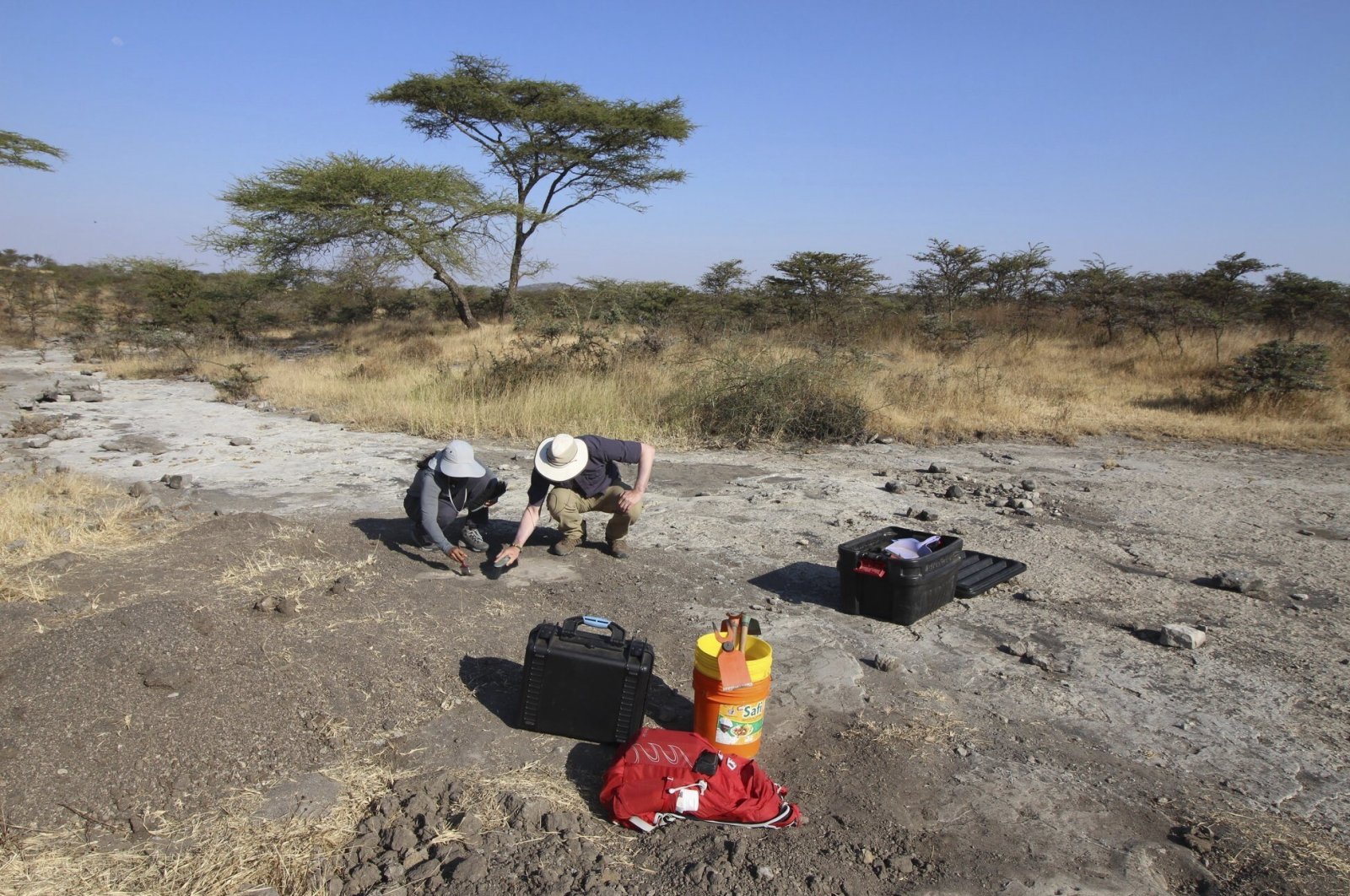 Anjali Prabhat and Jeremy DeSilva, associate professor of anthropology at Dartmouth, excavate Site A footprints at Laetoli, Tanzania. (Shirley Rubin/ Dartmouth College via AP)