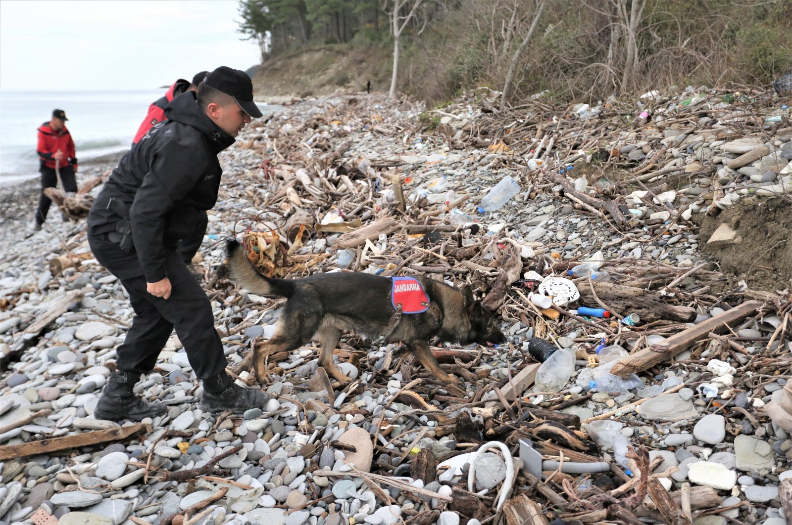 Mayat ditemukan beberapa bulan setelah banjir Turki Utara, mengarah ke pencarian lebih lanjut