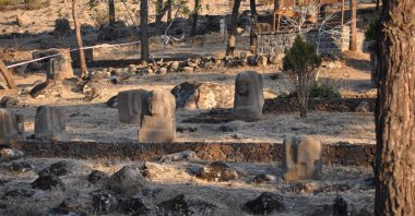 Sculptures are seen in the Yesemek Open Air Museum and Sculpture Workshop, Gaziantep, southeastern Turkey, Dec. 4, 2021. (DHA) 