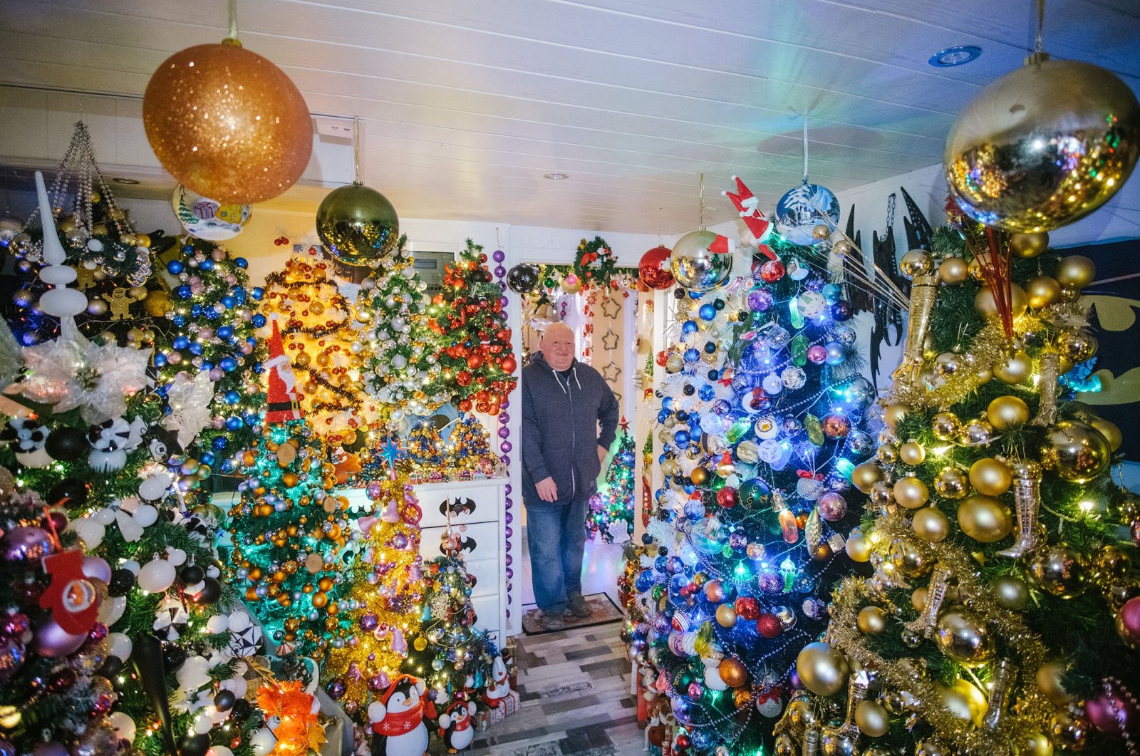 Oh, pohon Natal: Jerman memecahkan rekor dengan 444 pohon di rumah