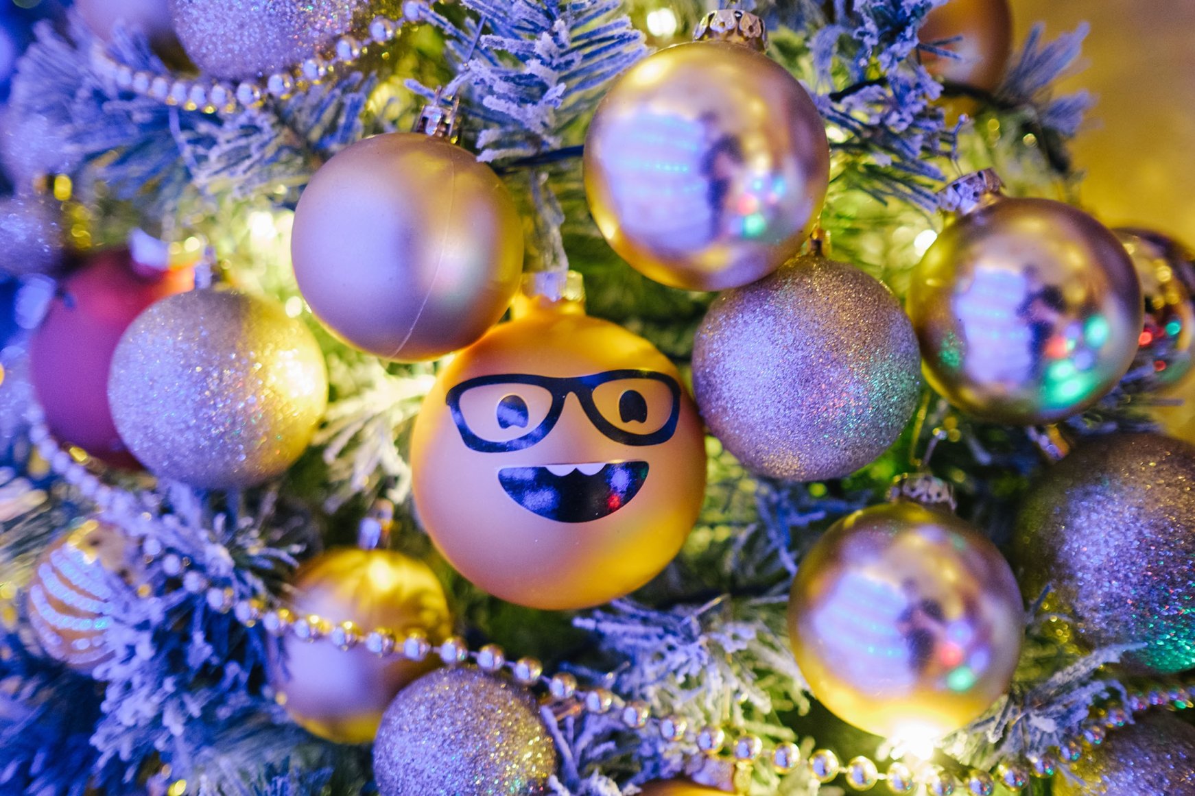 Oh, Christmas tree German breaks record with 444 trees at home Daily Sabah