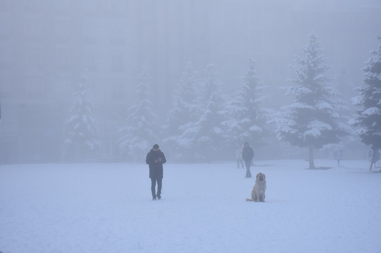 Two people and a dog are seen in the snow, Kars, Turkey, Dec. 9, 2021. (AA Photo)