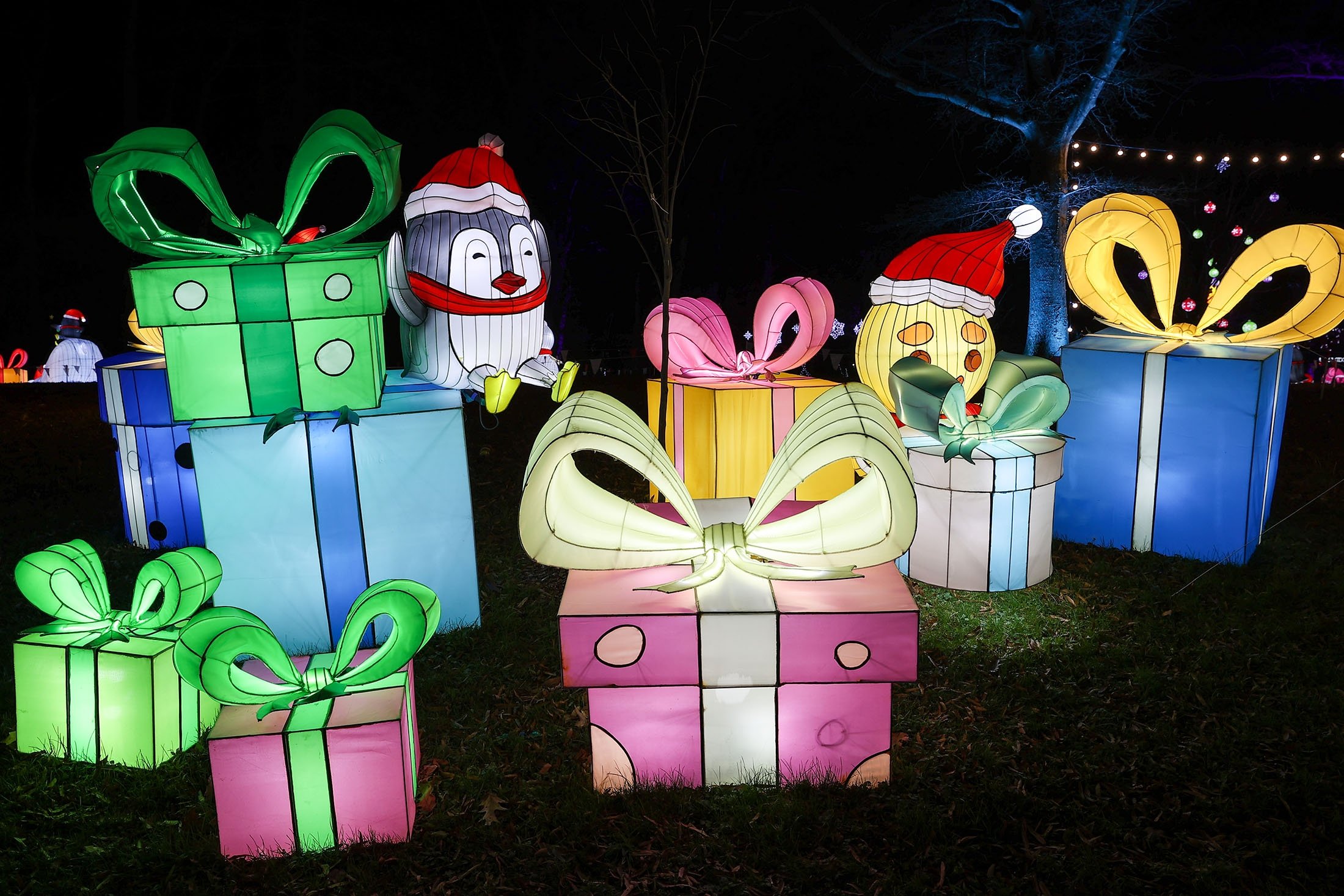 New York's Luminocity festival lights up with dreams and cuteness ...