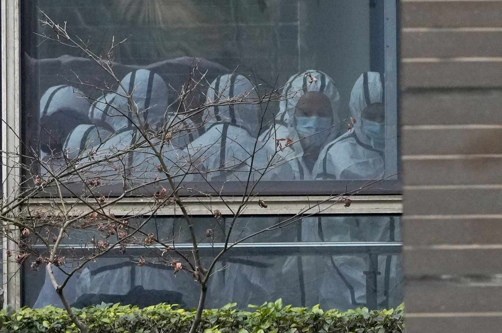 Members of a World Health Organization team are seen through a window wearing protective gear during a field visit to the Hubei Animal Disease Control and Prevention Center for another day of field visit in Wuhan in central China&#039;s Hubei province, Feb. 2, 2021. (AP Photo)
