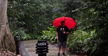 Singapore resident Graham George Spencer revisits the site where he was attacked by otters in late November, at the Singapore Botanical Gardens in Singapore, Dec. 11, 2021. (REUTERS)