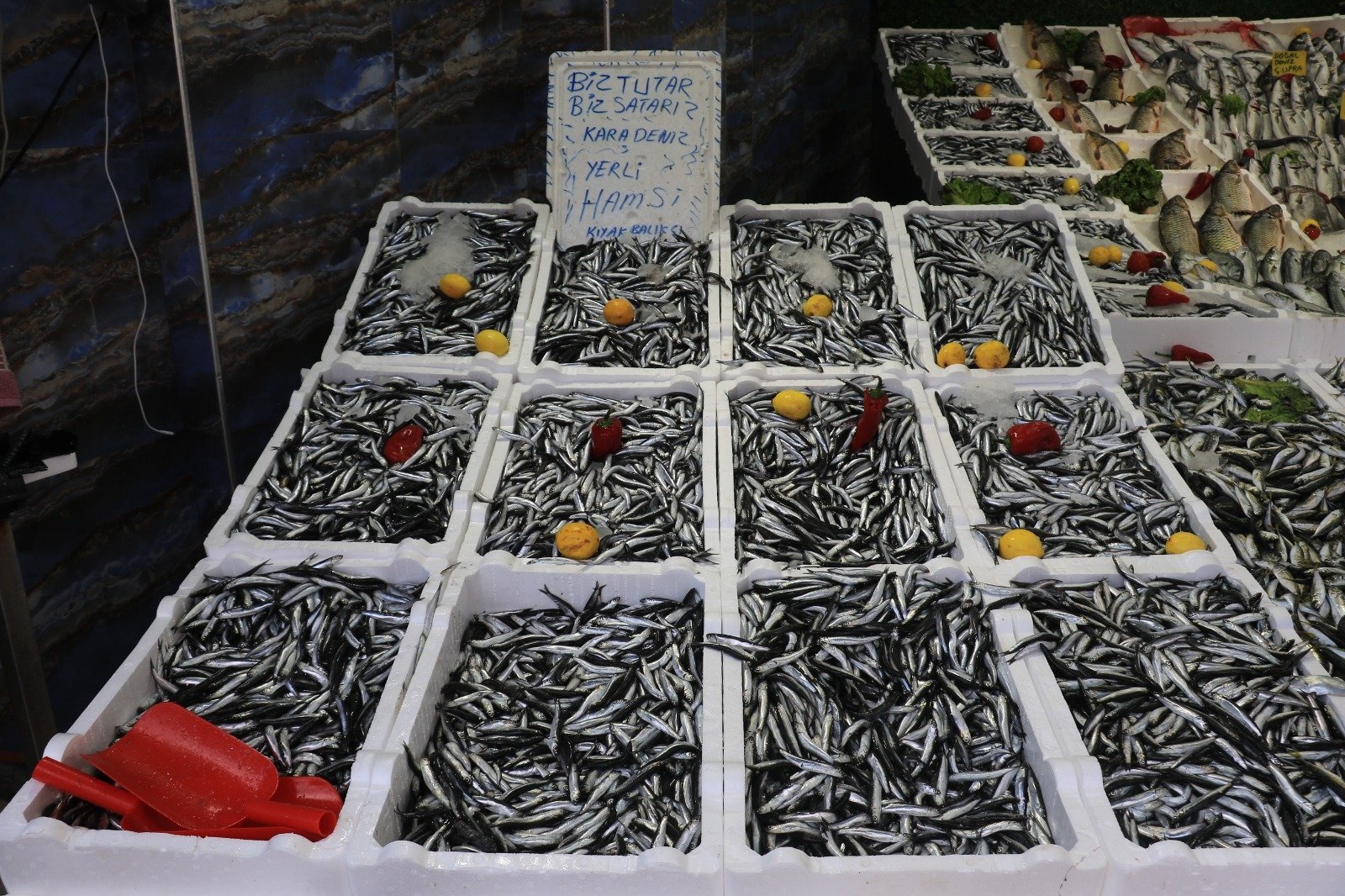 Hamsi for sale at the stall of a fish vendor, in Samsun, northern Turkey, Dec. 13, 2021. (DHA PHOTO)