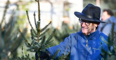 A customer picks up a Christmas tree at a &quot;Rent a Christmas Tree&quot; pick-up point in Utrecht, central Netherlands, Dec. 11, 2021. (AFP Photo)