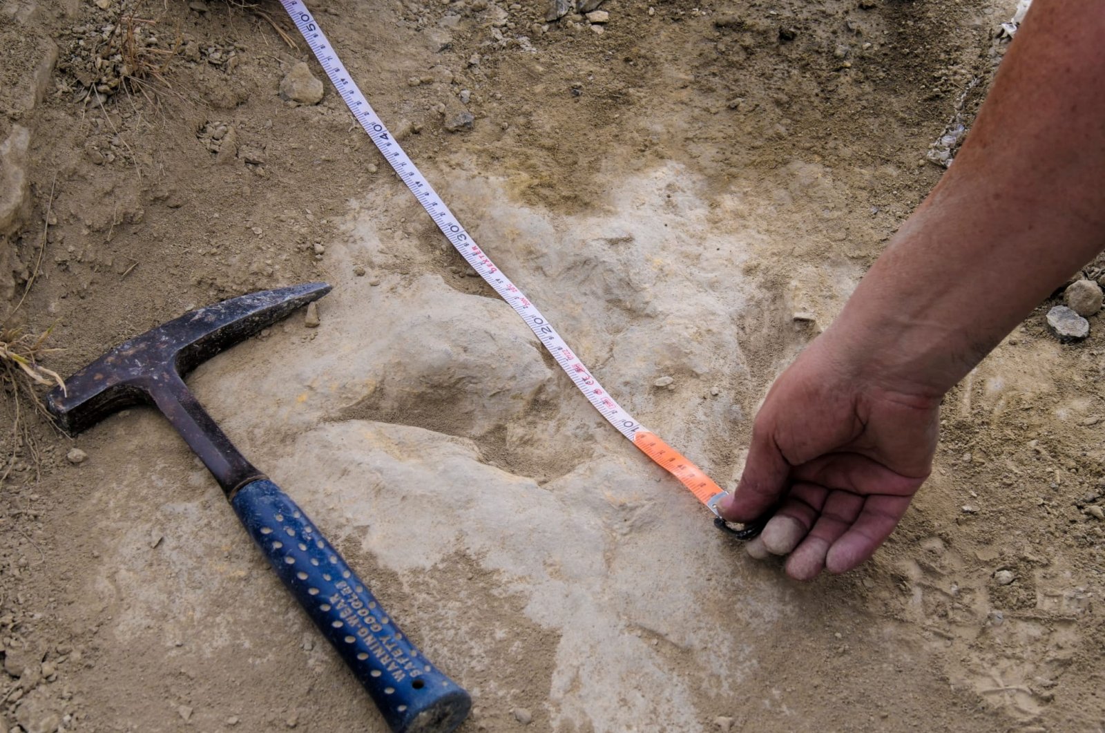 Researchers measure a fossilized dinosaur footprint made about 120 million years ago during the Cretaceous Period during field work in the La Rioja region, in northern Spain, in this undated handout picture. (Alberto Labrador via Reuters)