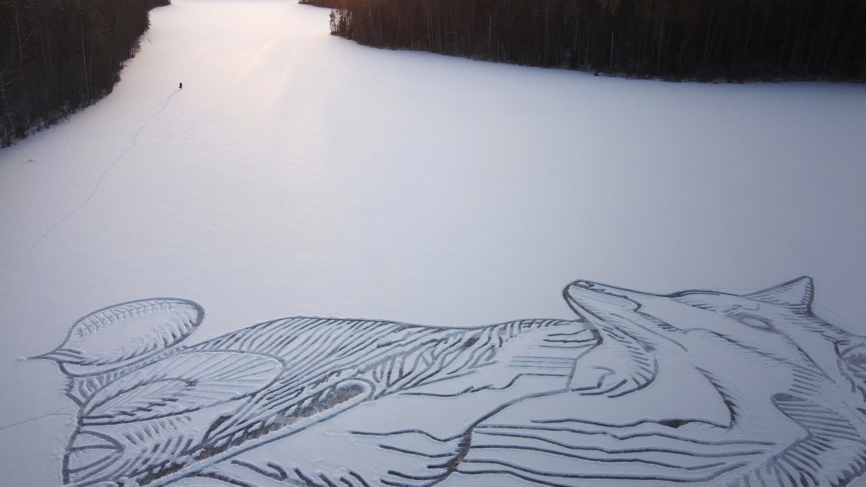 The drawing of a fox is seen on the frozen Pitkajarvi lake north of Helsinki, Finland, Dec. 4, 2021. (AP Photo)