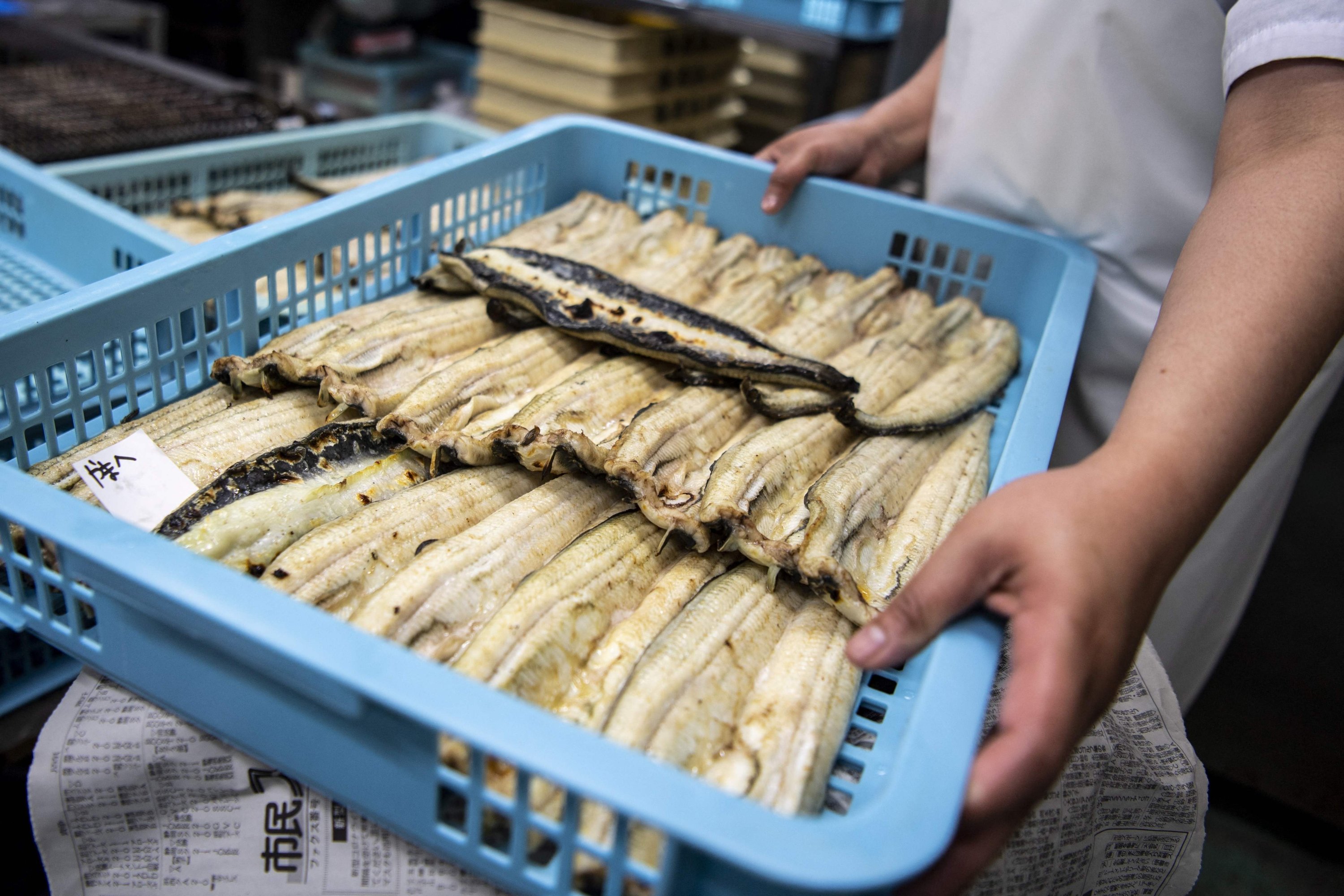 A seafood wholesaler employee handles grilled eel fillets in Hamamatsu, Shizuoka prefecture, Japan, April 17, 2021. (AFP Photo)