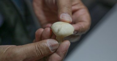The head of a “Stargazer” figurine can be seen in the ancient city of Beçin, in Milas district of Muğla, southwestern Turkey, Dec. 13, 2021. (AA Photo)
