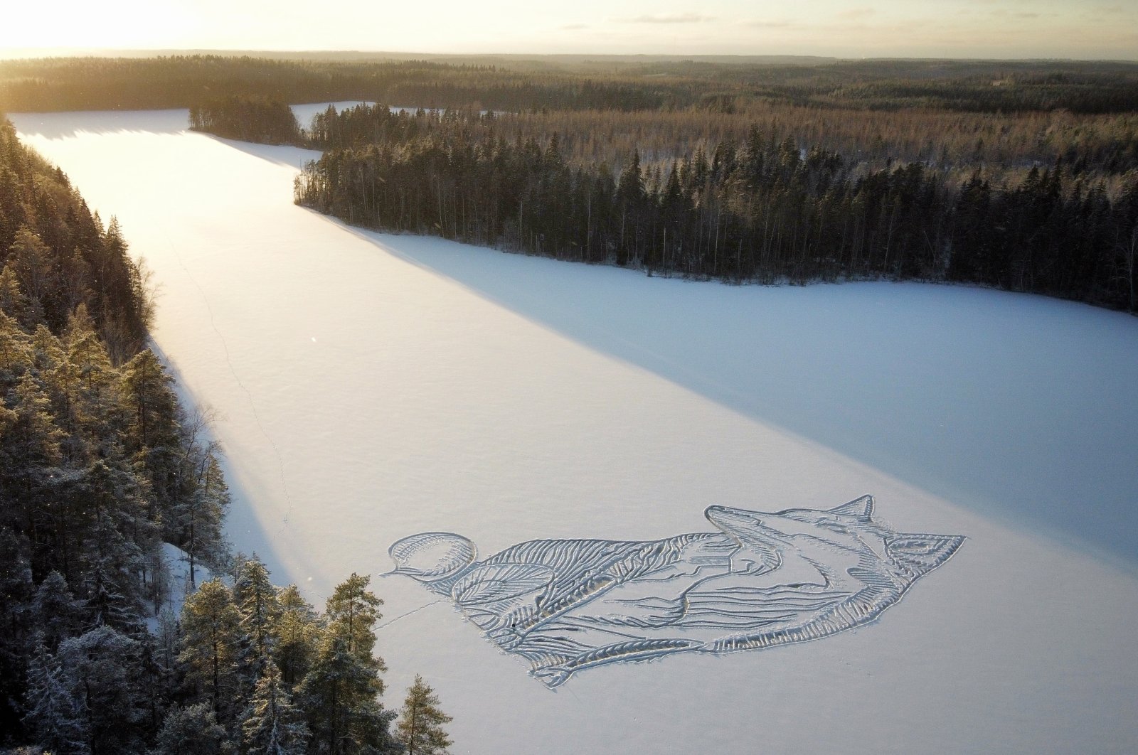 Pasi Widgren&#039;s drawing of a fox is seen on the frozen Pitkajarvi lake north of Helsinki, Finland, Dec. 4, 2021. (AP Photo)