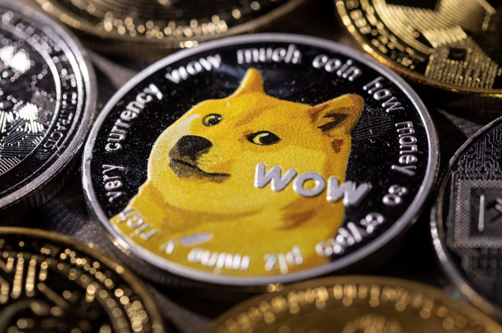Representation of cryptocurrency Dogecoin is seen in this illustration taken Nov. 29, 2021. (Reuters Photo)