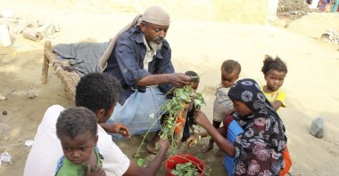 A man feeds children halas, a climbing vine of green leaves, in Aslam, Hajjah, Yemen, Aug. 25, 2018. (AP Photo)