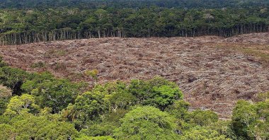 A picture made available on Aug. 14, 2019, shows a deforested area in the Amazon rainforest in Brazil, Nov. 28, 2013. (EPA Photo)