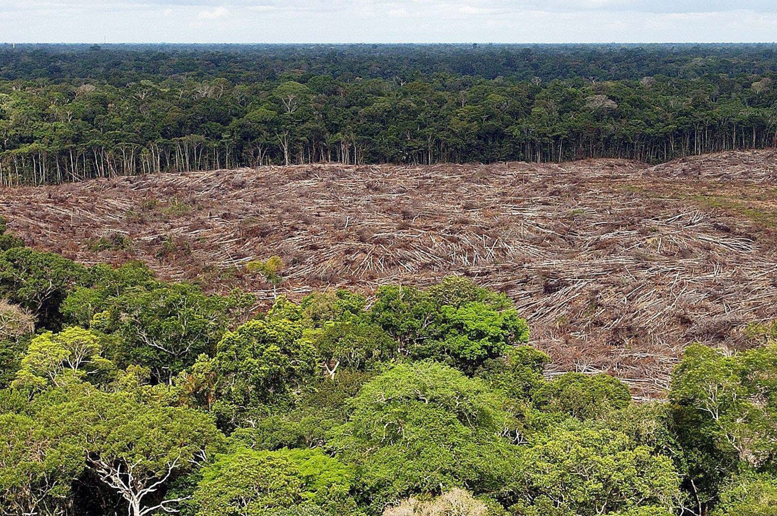 A picture made available on Aug. 14, 2019, shows a deforested area in the Amazon rainforest in Brazil, Nov. 28, 2013. (EPA Photo)