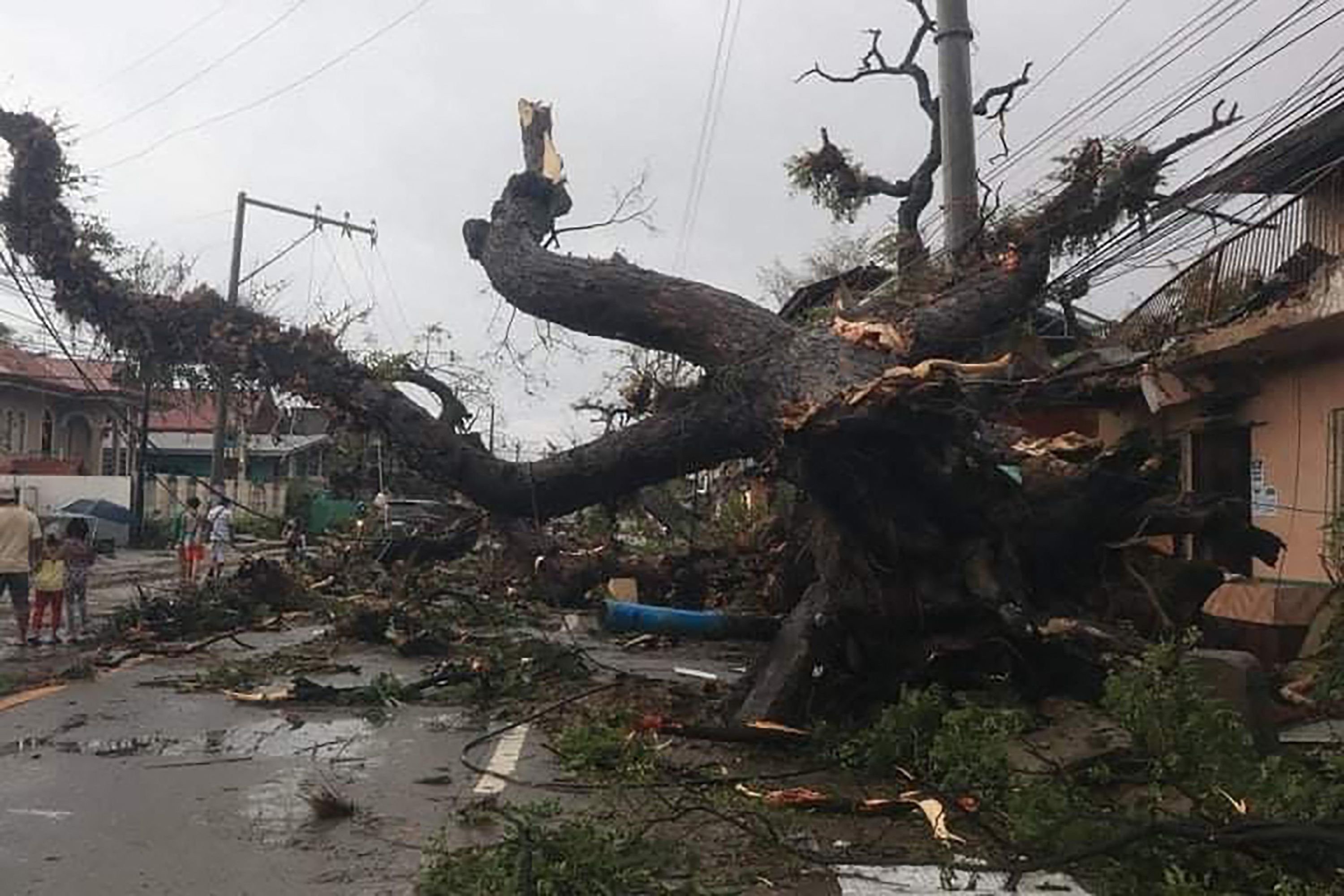 Warga berjalan melewati pohon tumbang akibat cuaca buruk akibat Topan Super Rai, di sepanjang jalan di kota Naga sehari setelah badai menerjang provinsi Cebu, Filipina, 17 Desember 2021. (AFP Photo)