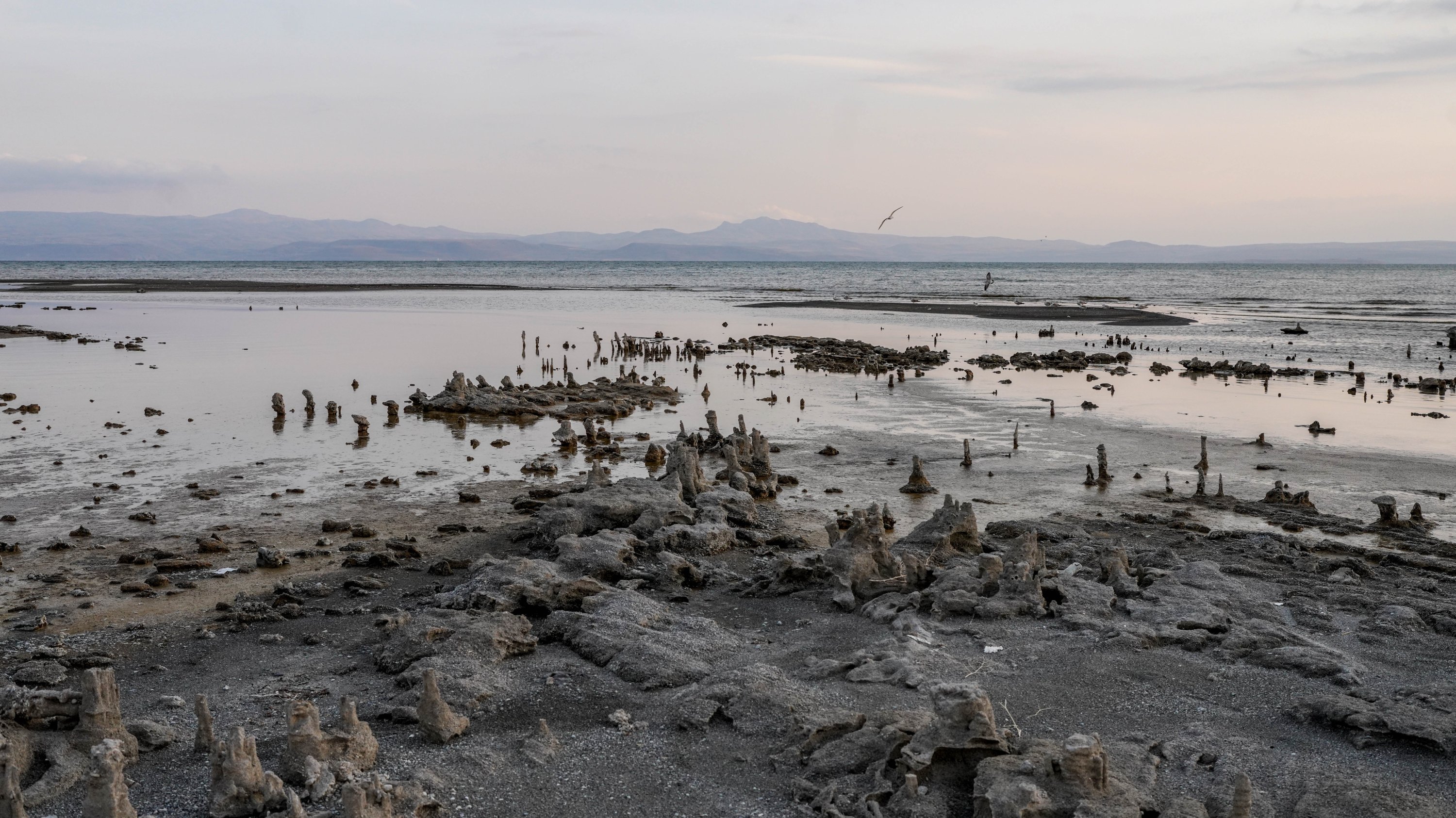 Pemandangan mikroba di Danau Van yang muncul dari dasar karena penurunan permukaan air, di Van, Turki timur, 12 Desember 2021. (FOTO OLEH UĞUR YILDIRIM)