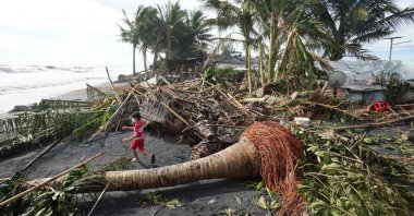 A child plays next to uprooted coconut and banana trees in the coastal town of Dulag in Leyte province a day after Super Typhoon Rai hit, Philippines, Dec. 17, 2021. (AFP Photo)