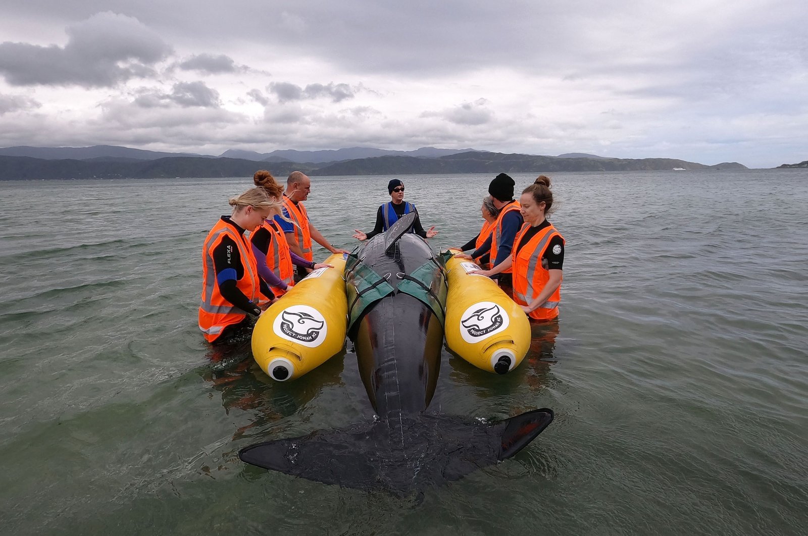 A group of volunteers from New Zealand whale rescue charity Project Jonah are taught how to save a stranded whale by a group instructor, at Scorching Bay in Wellington, Dec. 11, 2021. (AFP Photo)