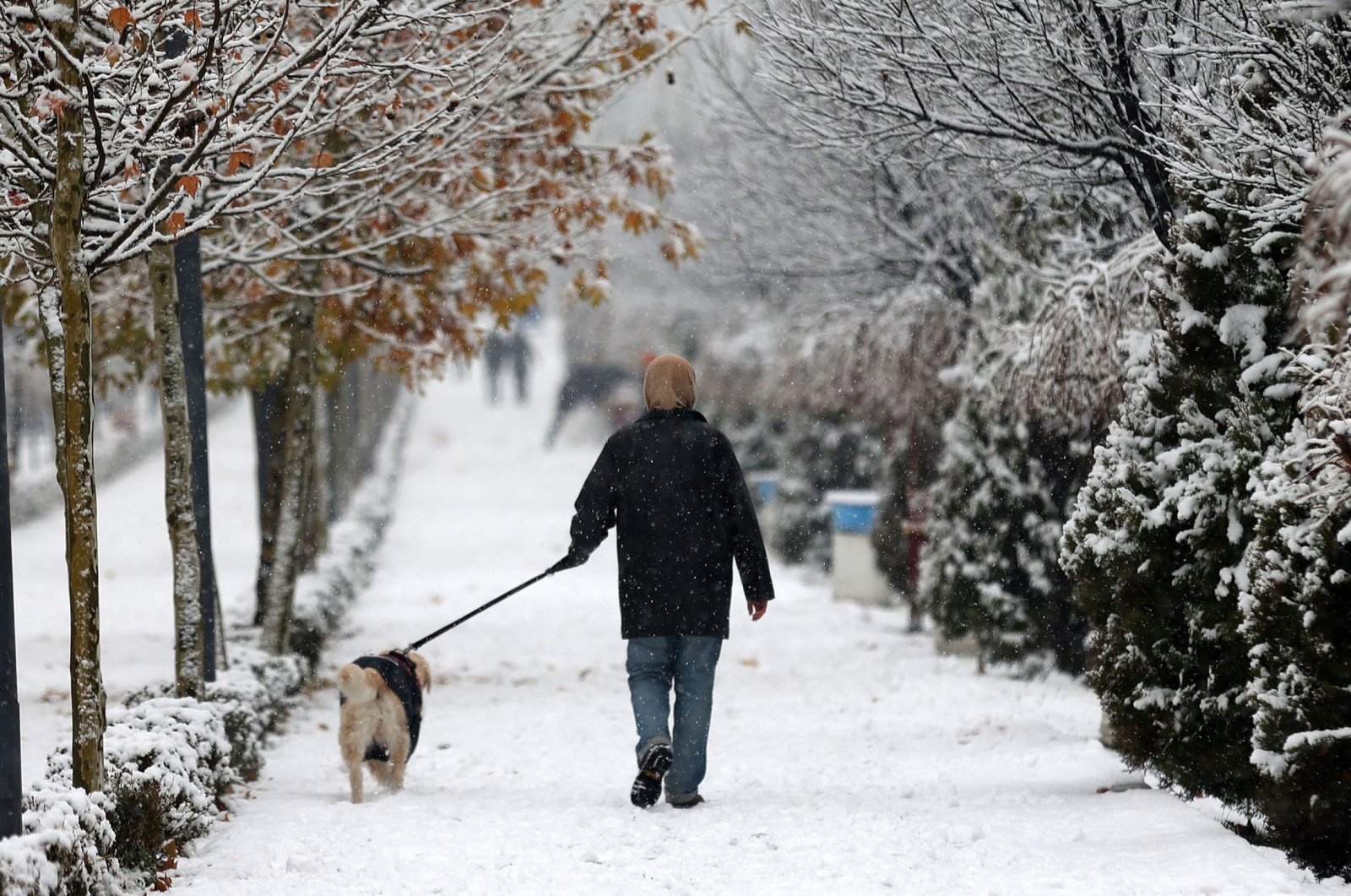 Salju mengubah Turki menjadi tontonan musim dingin