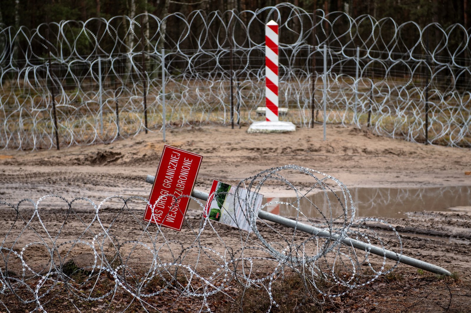 A view of the Polish-Belarusian border near Polowce village, eastern Poland, Dec. 17, 2021. (EPA Photo)