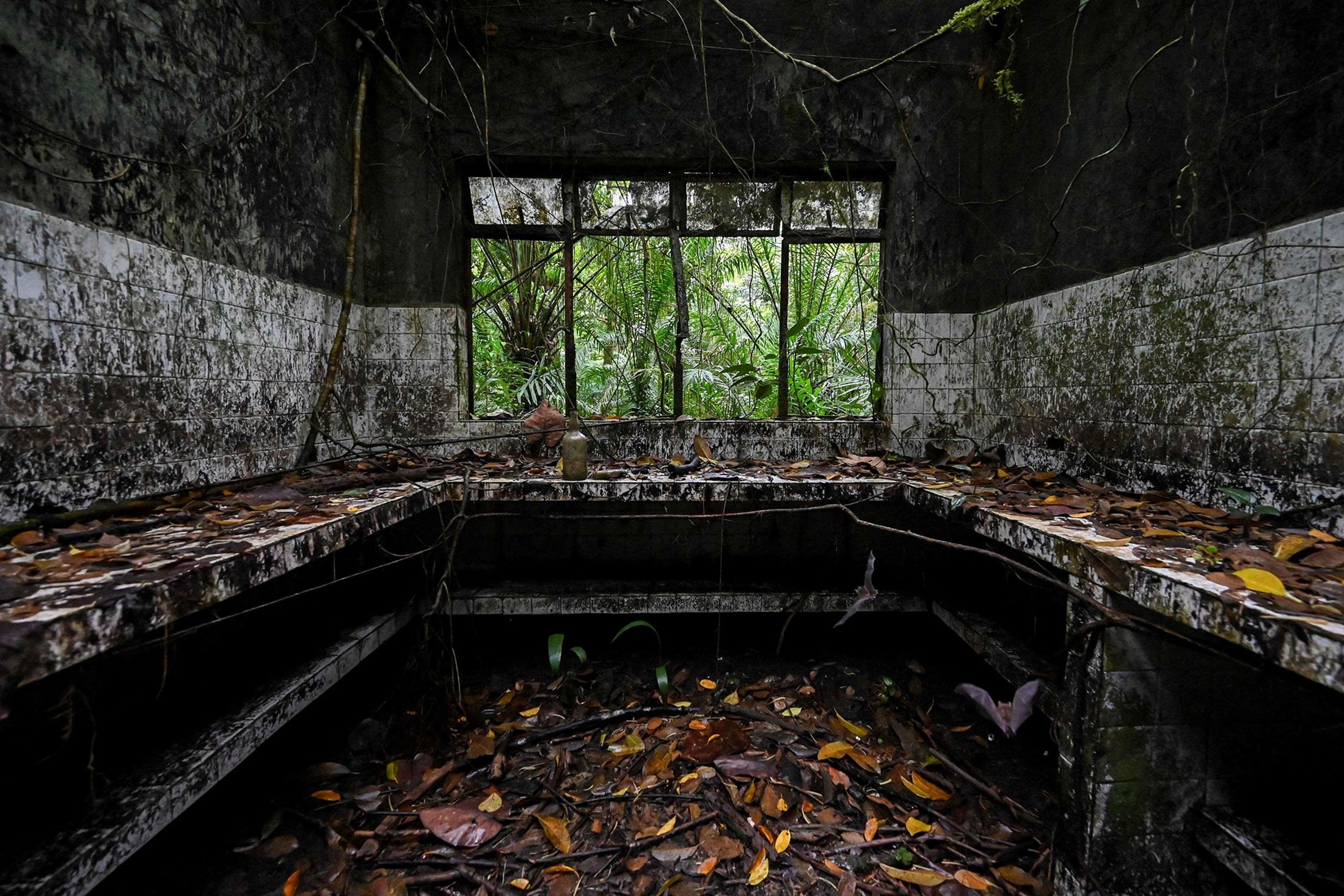 View of what was the infirmary of the prison at Gorgona Island, in the Pacific Ocean, off southwestern Colombia, Nov. 30, 2021. (AFP Photo)