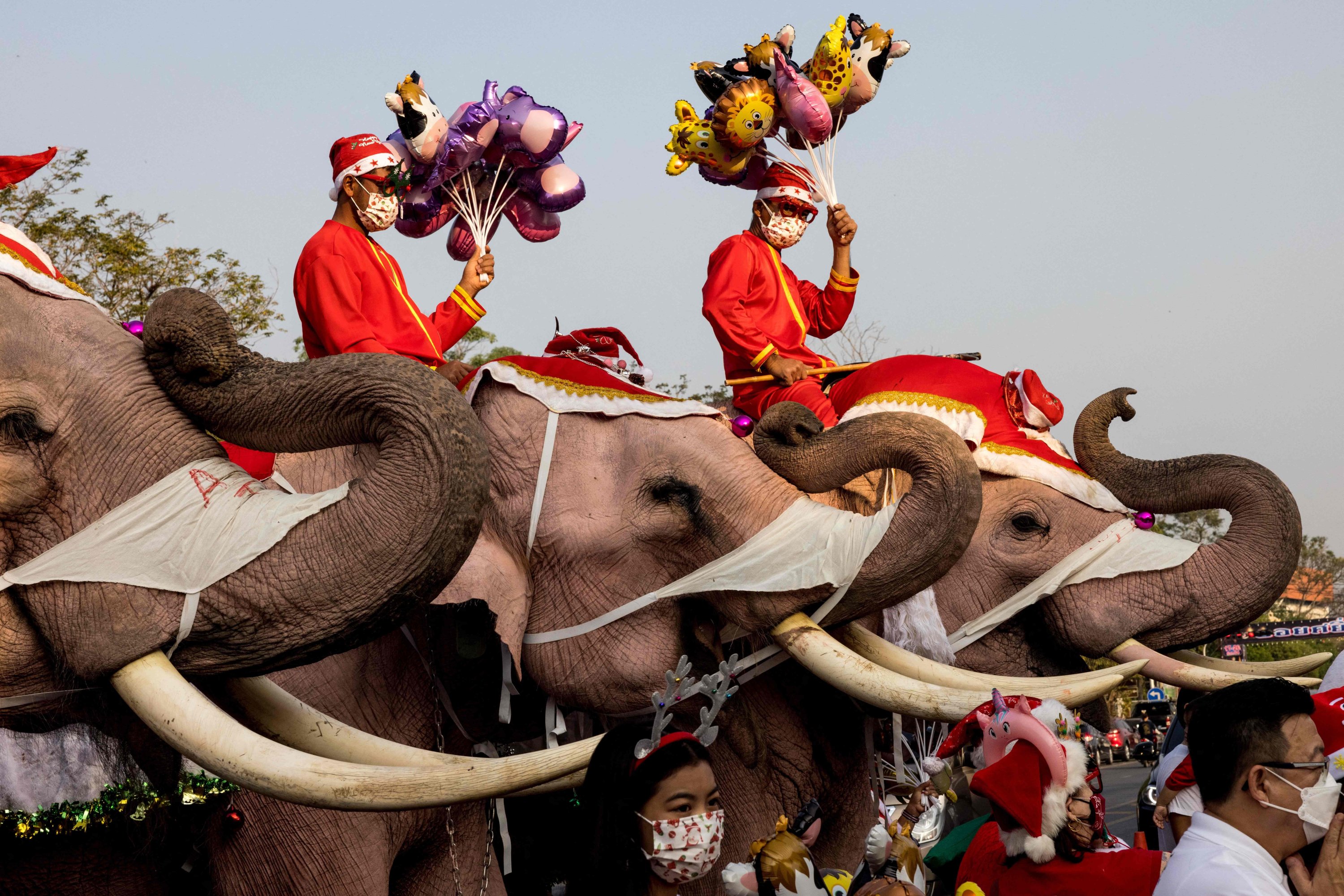 Mahouts dan gajahnya berpose untuk anak-anak selama perayaan Natal di sekolah Jirasart Witthaya di Ayutthaya, Thailand, 24 Desember 2021. (AFP Photo)