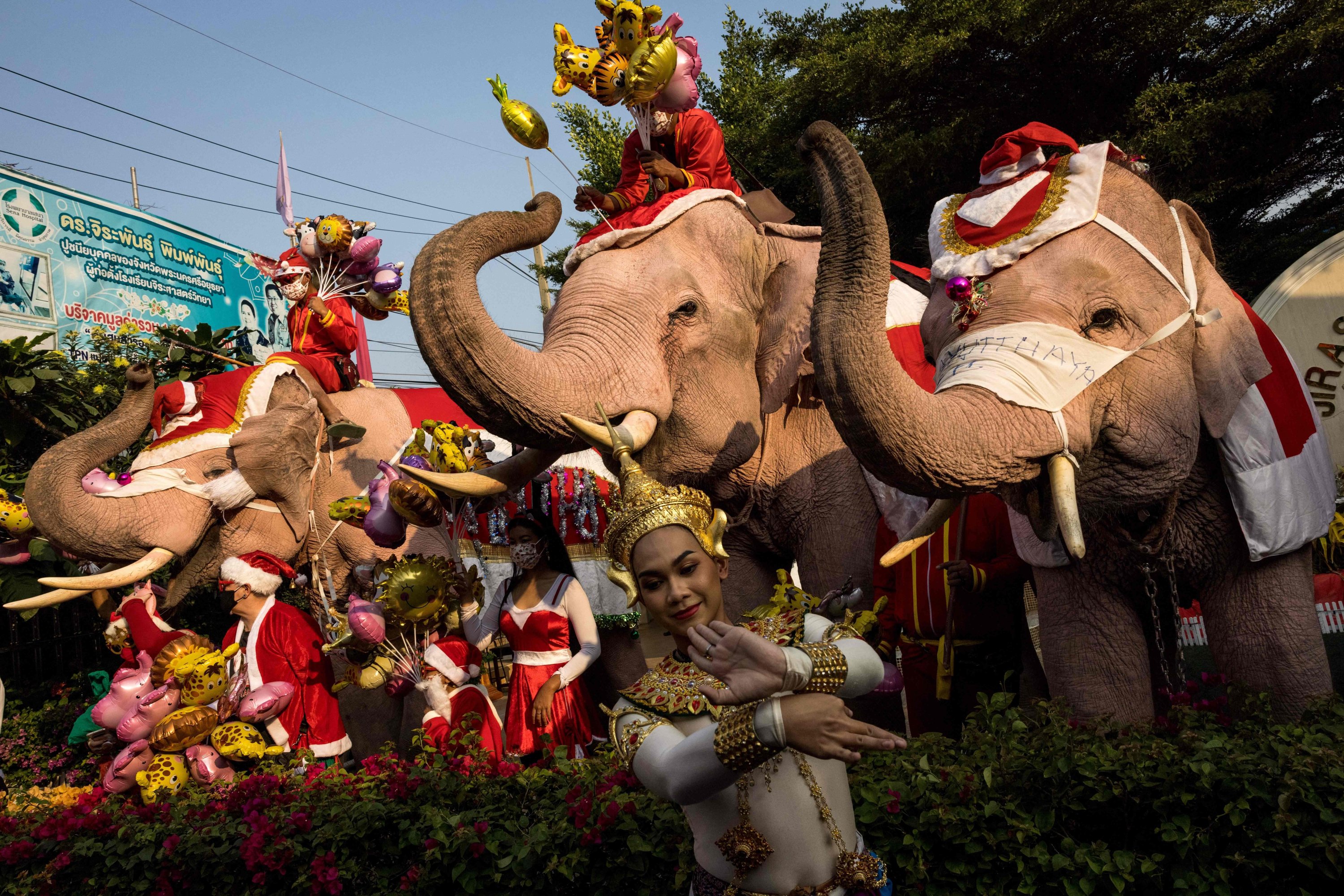 A dancer performs in front of mahouts and their elephants during Christmas celebrations at the Jirasart Witthaya school in Ayutthaya, Thailand, December 24, 2021. (AFP Photo)