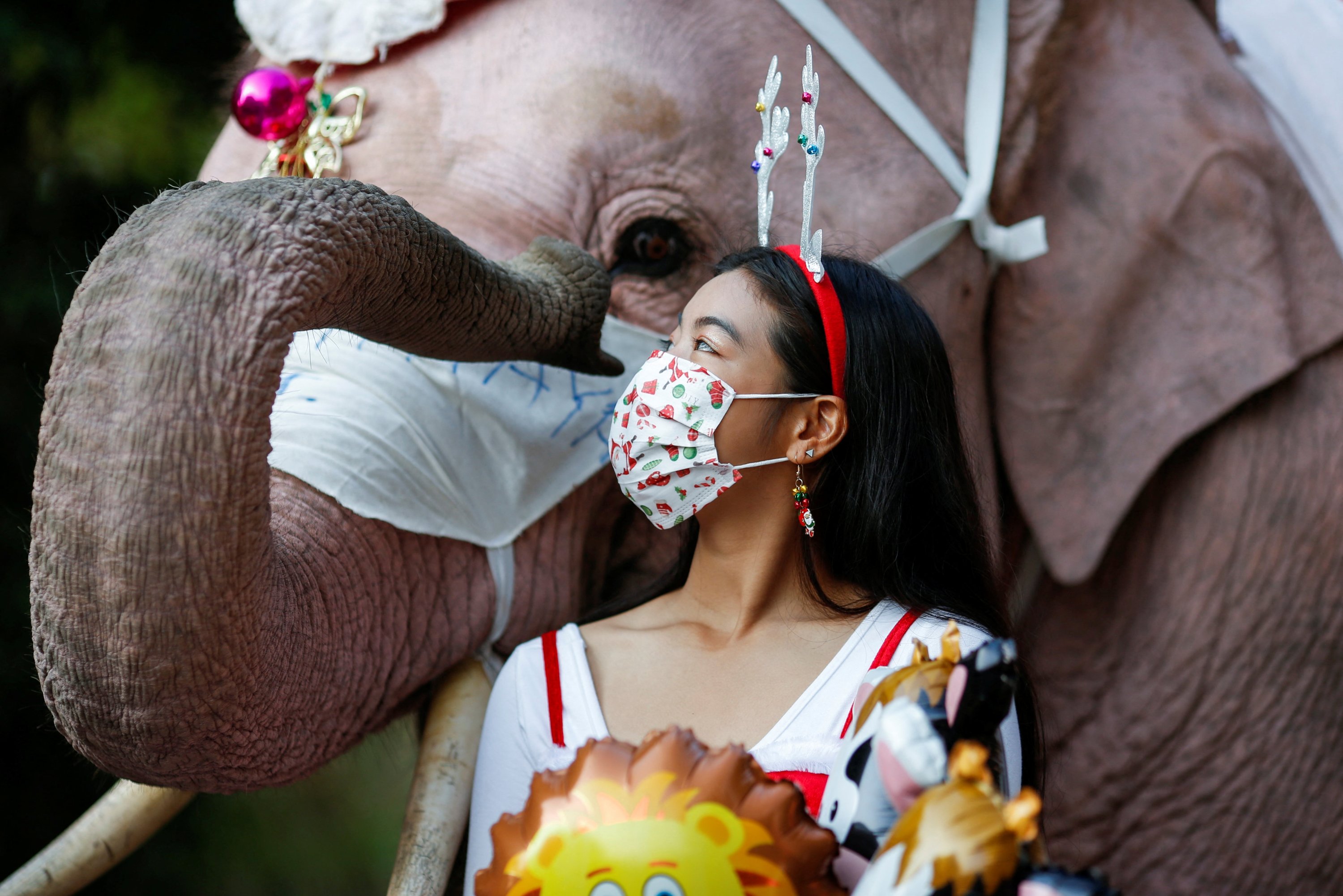 A girl stands near an elephant during the visit of five elephants in Santa Claus costumes with giant face masks, delivering hand sanitizers and promoting a "get vaccinated" message at a primary school, in the historical city of Ayutthaya, Thailand, December  24, 2021. (Reuters Photo)