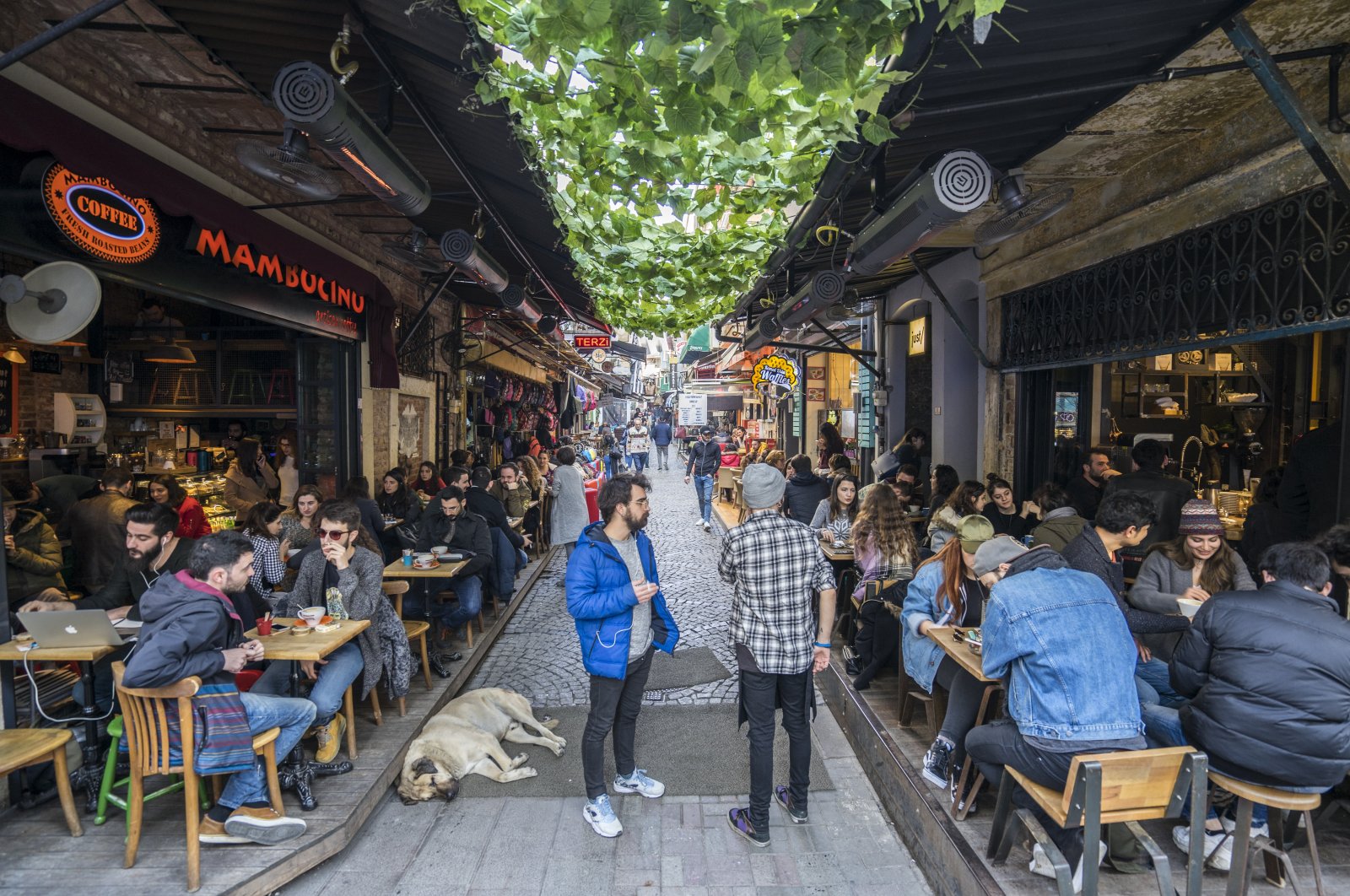 A street in Beşiktaş lined with coffee and tea houses, Istanbul, Turkey. (Shutterstock Photo)