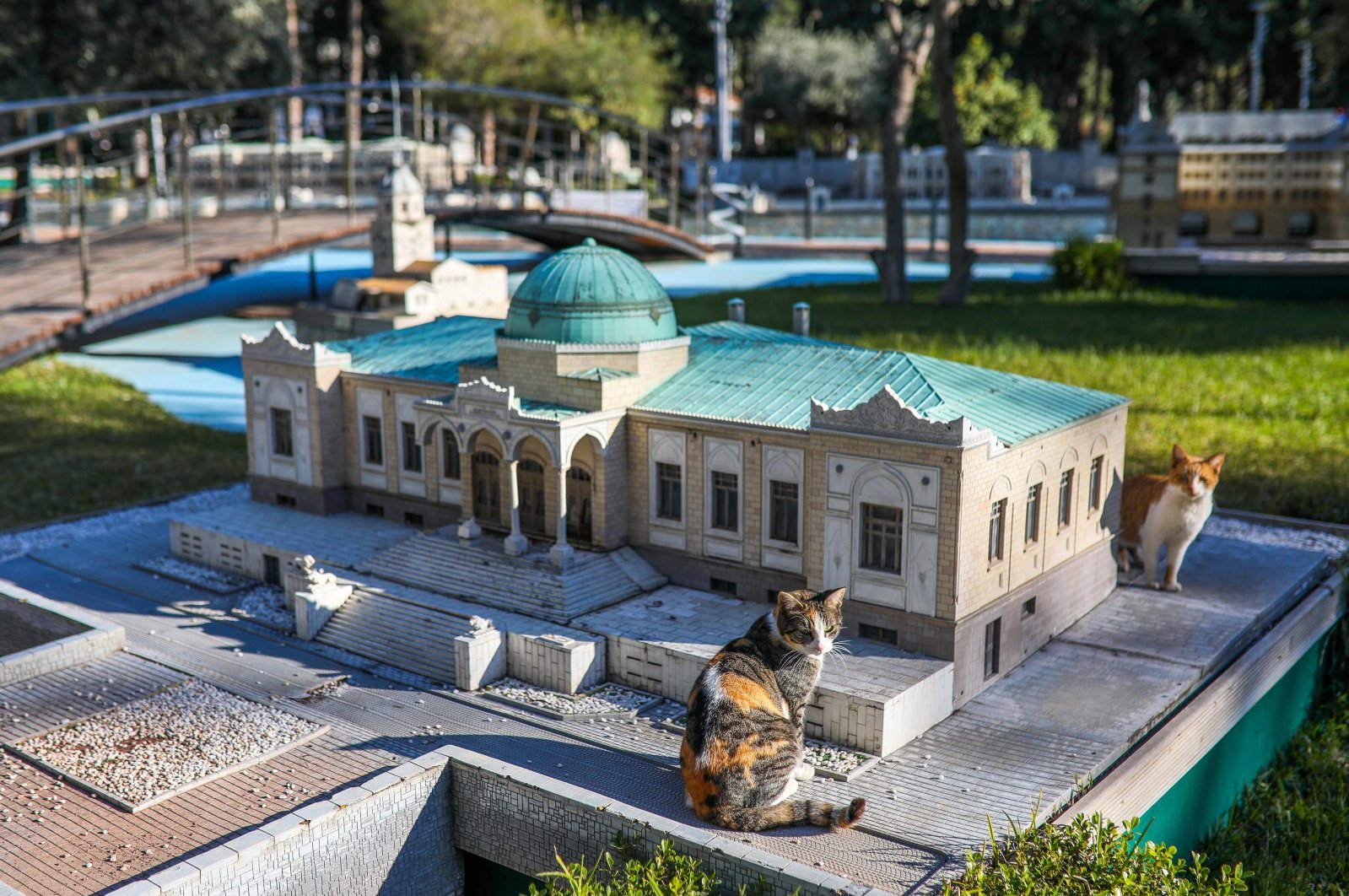 Kucing mengambil alih taman mini di Antalya . Turki