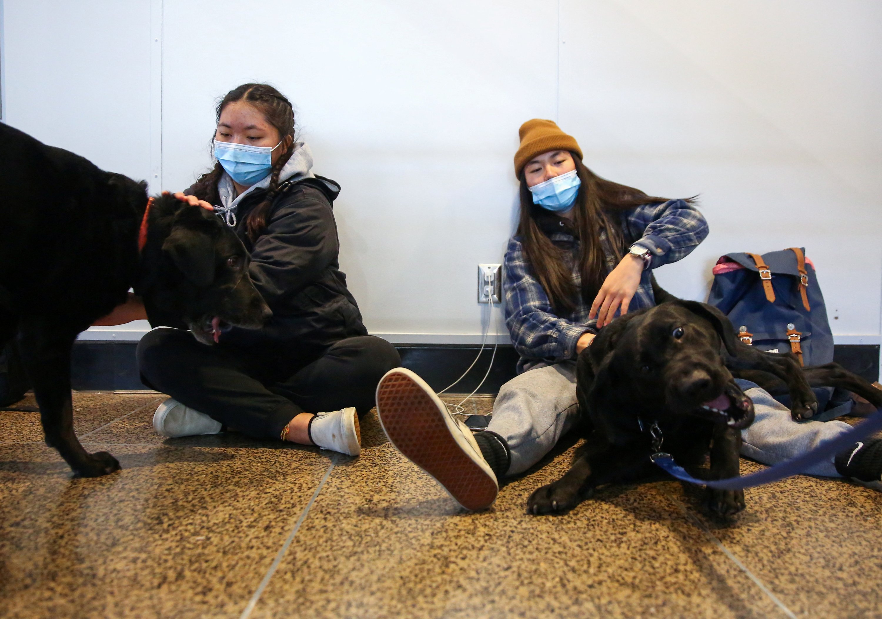 Traveling from Kansas City to their home in Anchorage, Alaska, Hannah Daniel, 16, plays with black lab Ben, as sister Aisling Daniel, 18, plays with Max while waiting for their hotel check-in time after spending the previous night at the airport due to multiple flight cancellations, luggage issues and pet embargoes at Seattle-Tacoma International Airport (Sea-Tac) in Seattle, Washington, U.S., Dec. 27, 2021. (Reuters Photo)