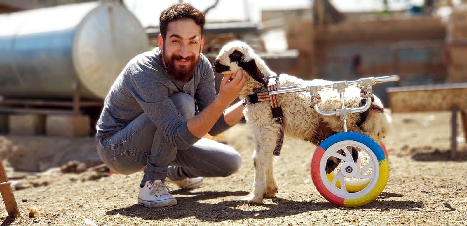 Hasan Kızıl poses next to a disabled lamb in a wheelchair built from toys, in Mardin, southeastern Turkey, May 23, 2018. (DHA PHOTO)