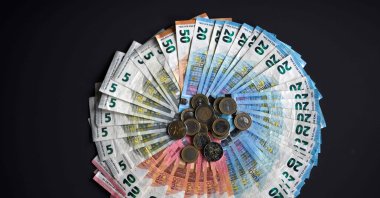 Euro banknotes and coins are seen in Dortmund, western Germany, Jan. 27, 2020. (AFP File Photo)