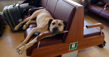 Boji sleeps on a ferry that runs between the city&#039;s Asian and European sides, Istanbul, Turkey, Oct. 5, 2021. (Reuters Photo)
