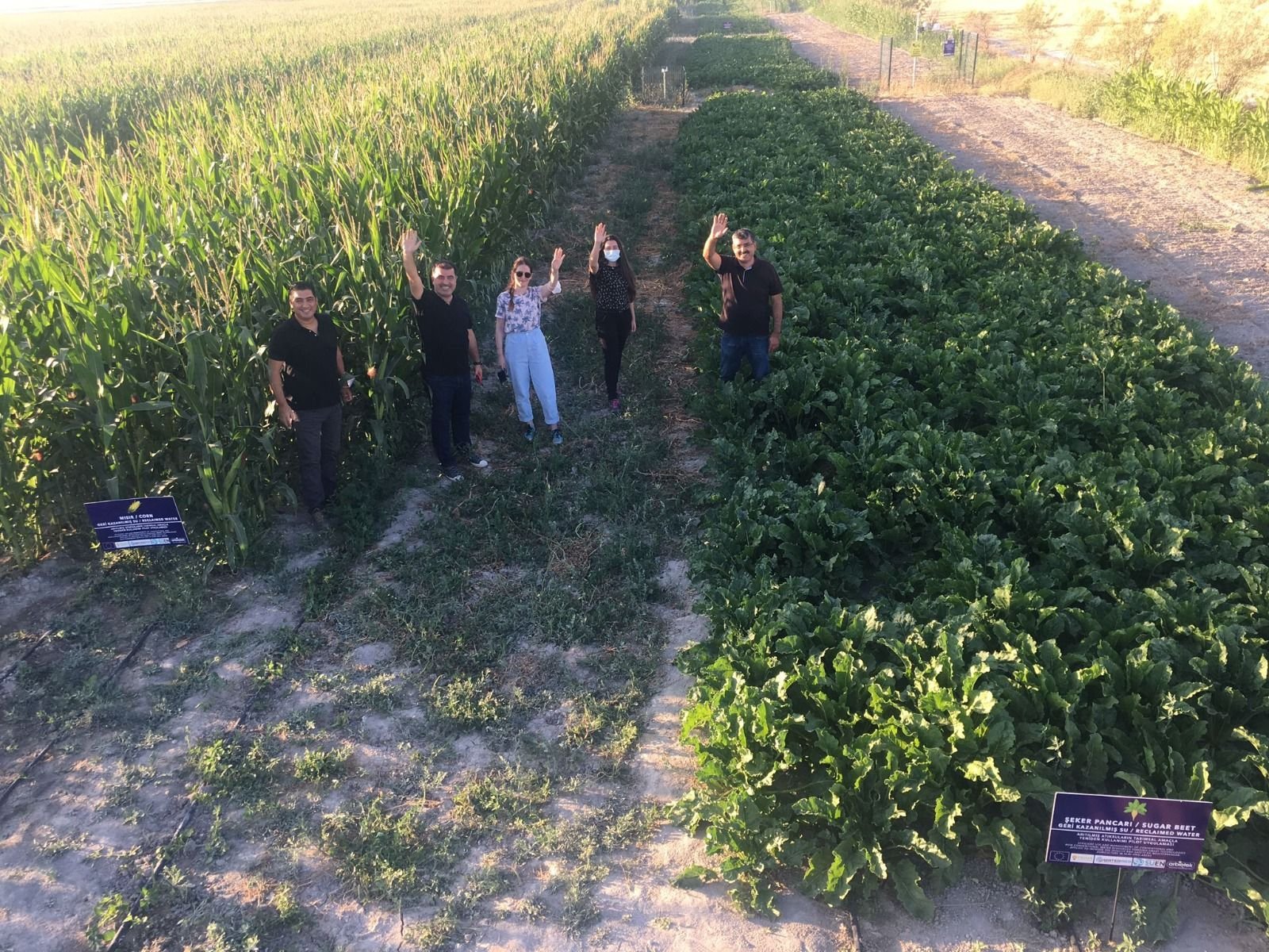 Scientists pose in a field where they study corn and beets cultivated with wastewater, in Konya, central Turkey, Jan. 4, 2022. (DHA PHOTO)