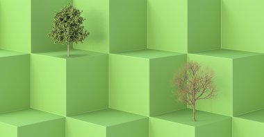 Illustration by Getty Images.