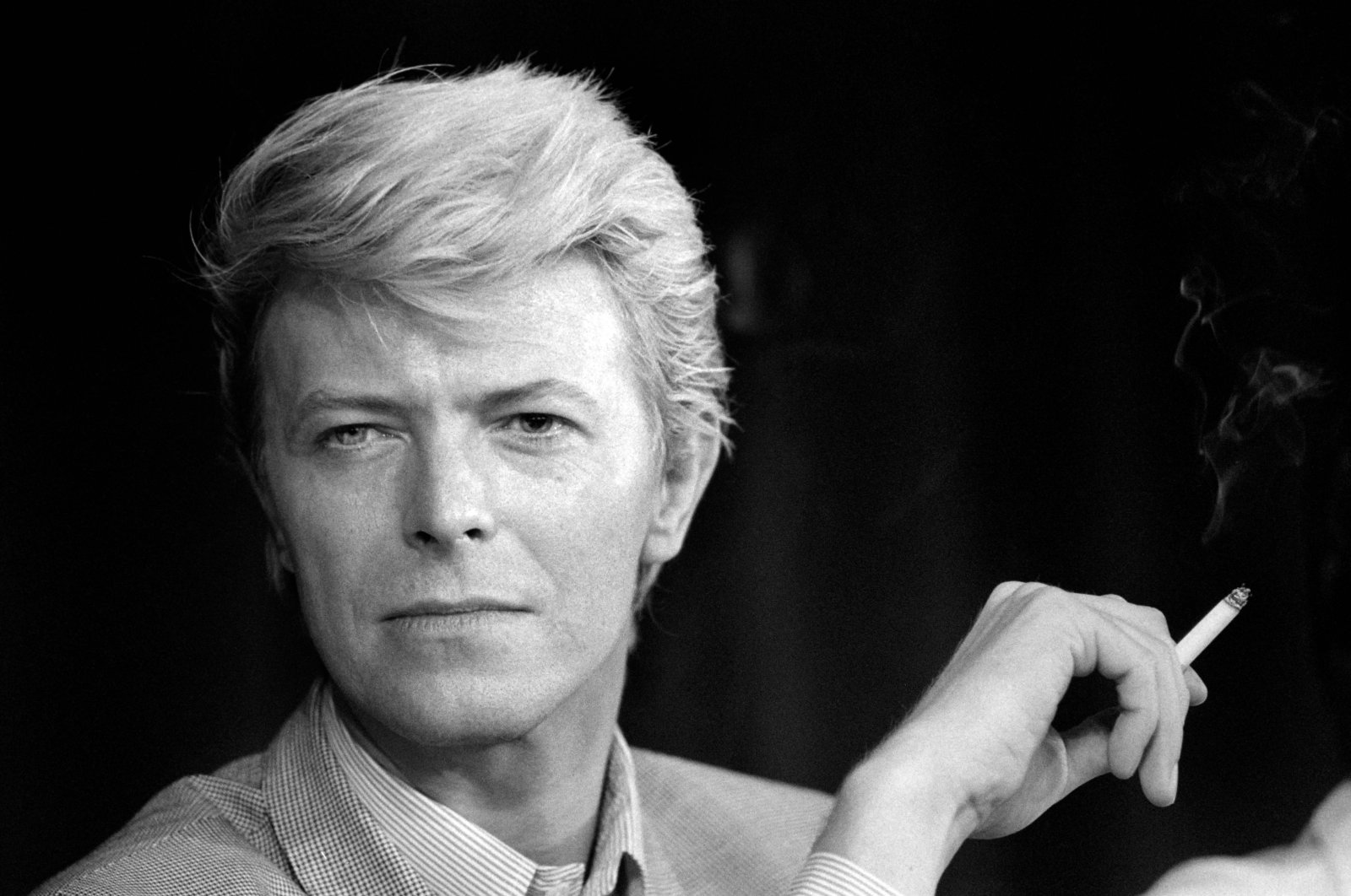 Perkebunan David Bowie dilaporkan menjual katalog senilai 0 juta ke Warner