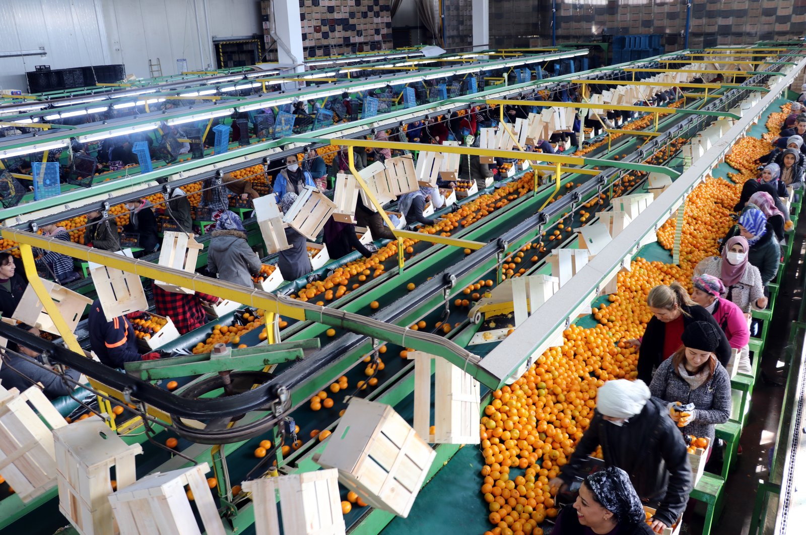 Industri pertanian Turki mencatat rekor ekspor lebih dari ,5 miliar