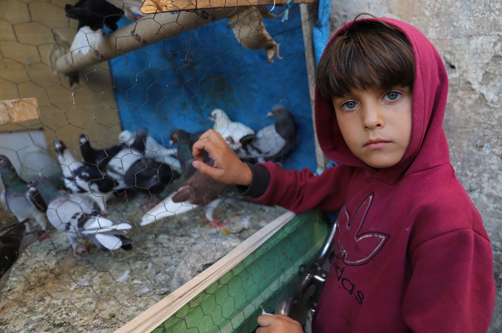 A Syrian boy, who fled his homeland with his family after the civil war erupted, poses by pigeons he feeds in the district of Fatih, Istanbul, Turkey, 2021. (Photo by Shutterstock)
