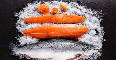 
Salmons grew in Turkey seen in this photo provided on Jan. 9, 2022. (AA Photo)
