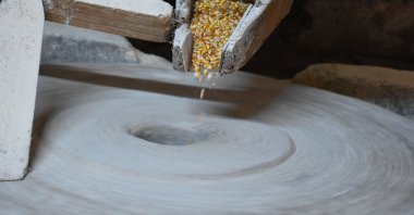 Corn is ground in one of the four stones at Ramadan Sarıdiken's mill in the Çatalpınar district Ordu, Turkey, Jan. 9, 2022. (AA Photo)