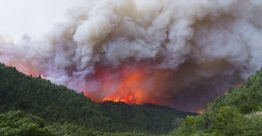 Plumes of smoke rise from a wildfire in the vicinity of Lake Steffen, near Rio Villegas, Argentina, Dec. 29, 2021. (AP Photo)