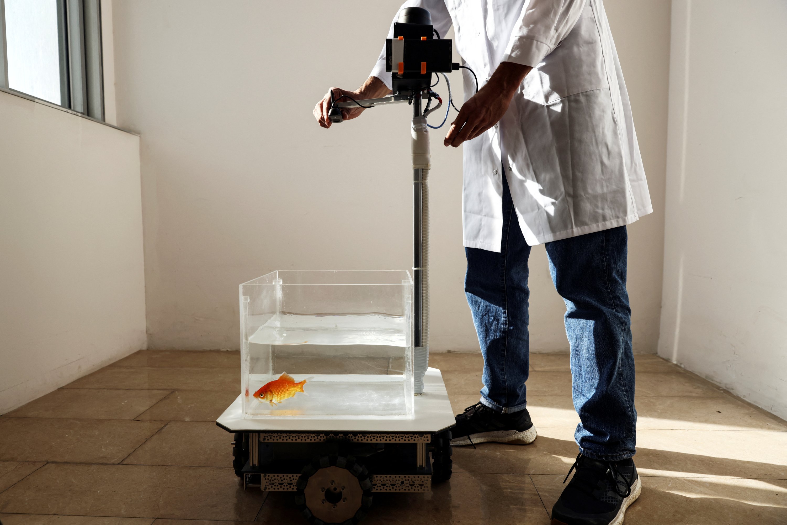 A researcher adjusts a fish-operated vehicle navigated by a goldfish, developed at Ben-Gurion University in Beersheba, Israel, Jan. 6, 2022. (Reuters Photo) 