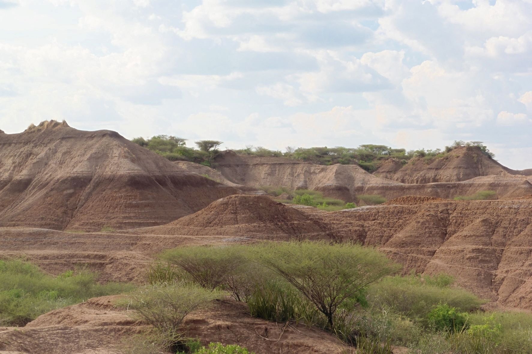 Formasi geologis Omo Kibish terlihat di barat daya Etiopia, dekat lokasi penemuan fosil Homo sapiens pada akhir 1960-an, yang kini telah ditentukan setidaknya berusia 233.000 tahun, dalam foto selebaran tak bertanggal yang diperoleh Reuters pada 12 Januari. , 2022. (Celine Vidal via Reuters) 
