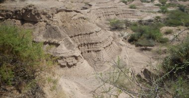 This handout photograph released by The University of Cambridge on Jan. 12, 2022, shows a general view of 'The Omo-Kibish formation' in The Omo National Park, south-western Ethiopia on Nov. 14, 2018. (Celine Vidal/ University of Cambridge via AFP)